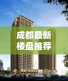 2025年5月6日 第3页