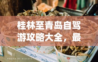 新闻中心 第7页
