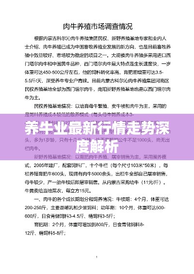 2025年5月11日 第5页