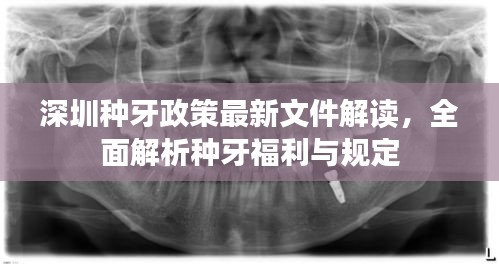 资料大全 第5页