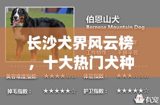 花枝招展
