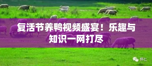 2025年5月14日 第5页