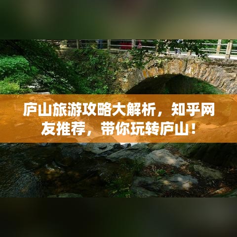 惊弦之鸟