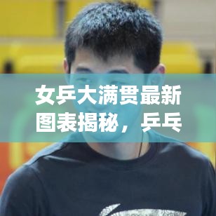 女乒大满贯最新图表揭秘，乒乓球界的荣耀成就全解析