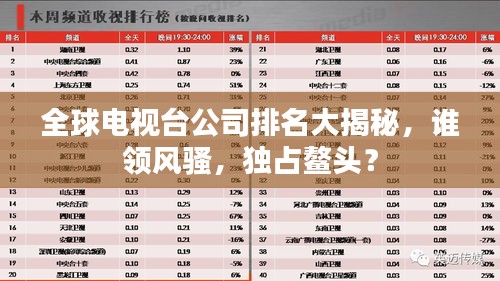 全球电视台公司排名大揭秘，谁领风骚，独占鳌头？