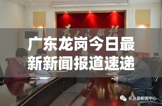 广东龙岗今日最新新闻报道速递