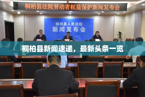桐柏县新闻速递，最新头条一览