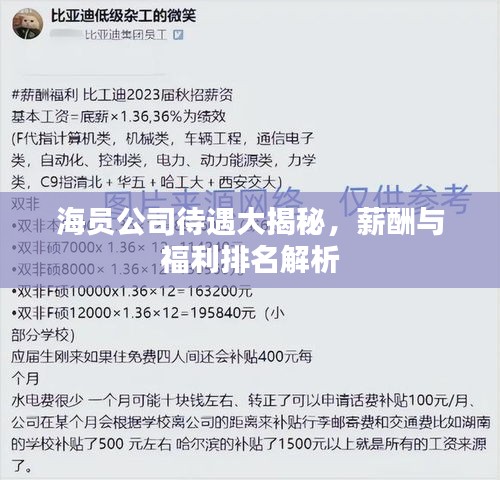 海员公司待遇大揭秘，薪酬与福利排名解析