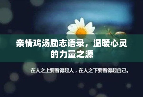 亲情鸡汤励志语录，温暖心灵的力量之源