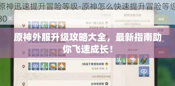 原神外服升级攻略大全，最新指南助你飞速成长！