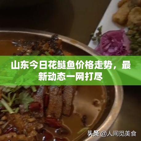 山东今日花鲢鱼价格走势，最新动态一网打尽