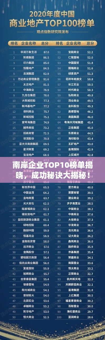 南岸企业TOP10榜单揭晓，成功秘诀大揭秘！