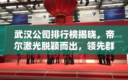 武汉公司排行榜揭晓，帝尔激光脱颖而出，领先群雄