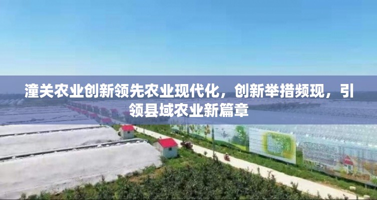 潼关农业创新领先农业现代化，创新举措频现，引领县域农业新篇章