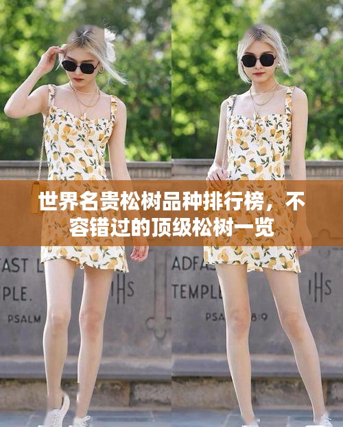 世界名贵松树品种排行榜，不容错过的顶级松树一览