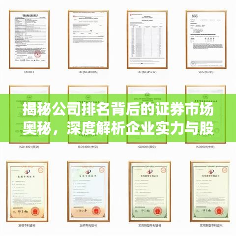 揭秘公司排名背后的证券市场奥秘，深度解析企业实力与股市表现！