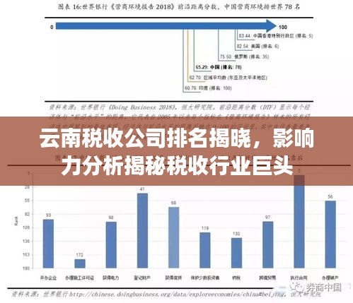 云南税收公司排名揭晓，影响力分析揭秘税收行业巨头