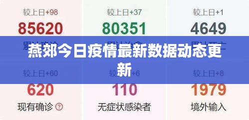 燕郊今日疫情最新数据动态更新