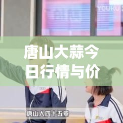 张皇铺饰