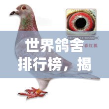 世界鸽舍排行榜，揭秘全球最大鸽舍TOP排名！