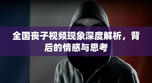 全国丧子视频现象深度解析，背后的情感与思考