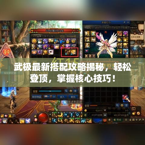 武极最新搭配攻略揭秘，轻松登顶，掌握核心技巧！