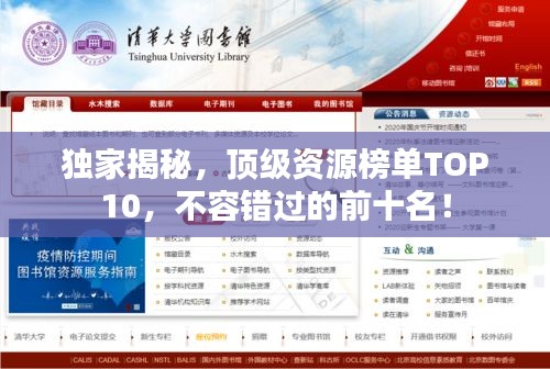 独家揭秘，顶级资源榜单TOP10，不容错过的前十名！