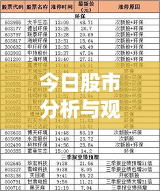 今日股市分析与观察，最新动态，热门板块一网打尽