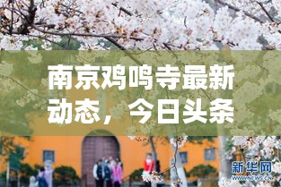 南京鸡鸣寺最新动态，今日头条新闻报道揭秘！