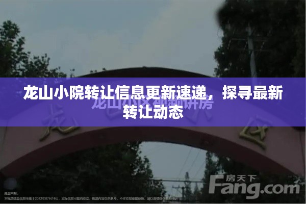 龙山小院转让信息更新速递，探寻最新转让动态