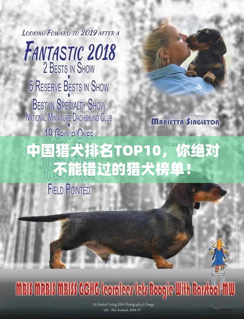 中国猎犬排名TOP10，你绝对不能错过的猎犬榜单！