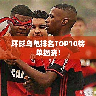 环球乌龟排名TOP10榜单揭晓！